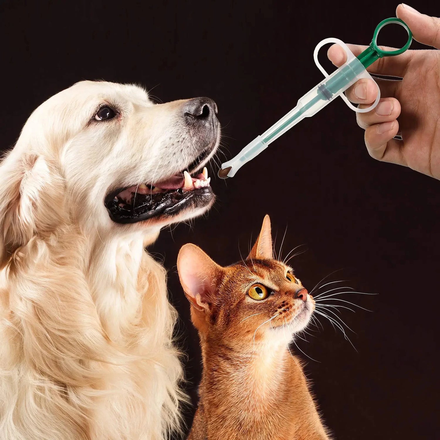 Pet Pill & Medication Dispenser, 1 Piece or Set of 3, 16x6cm PP & Silicone, Easy Pill Feeder for Cats & Dogs