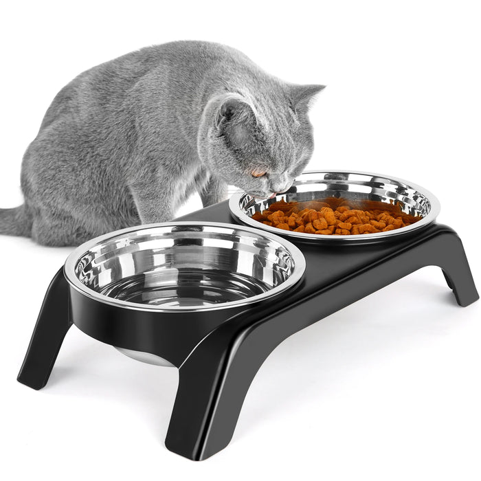 Elevated Pet Bowls, Set of 2 Stainless Steel, ABS Anti-Slip Stand, Raised Food & Water Bowl for Cats & Dogs, Gray & Black